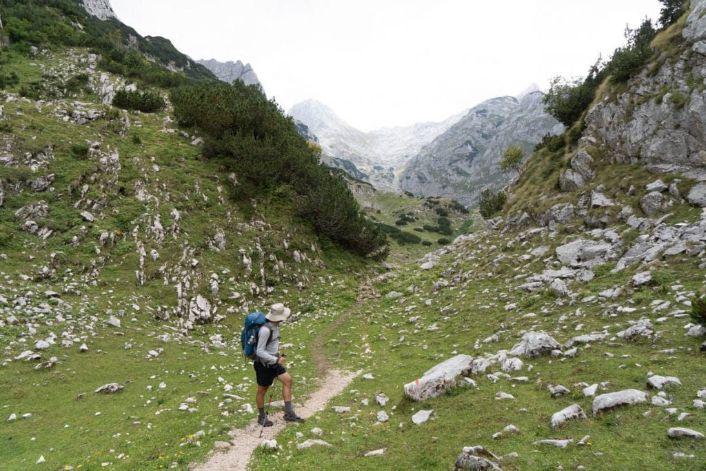 Man looks towards valley with rocks and greenery