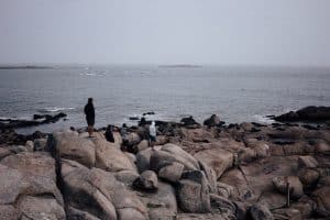 men look out into the distance at a rock populated with sea lions