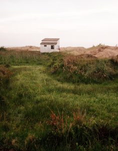 A Cabo Polonio shack is lit up by summer sun surrounded by grass