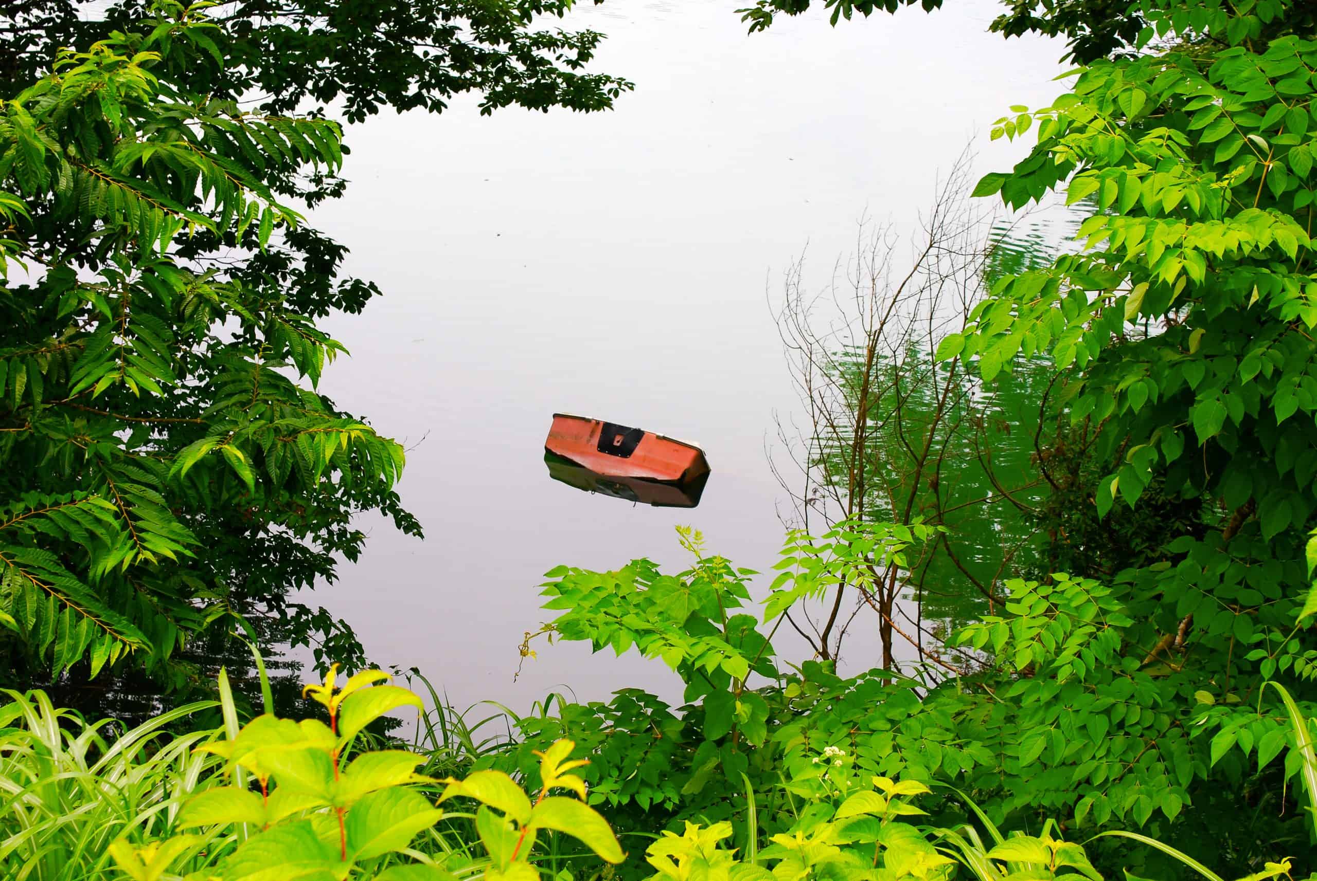 Half sunken boat in water encircled by lush greener