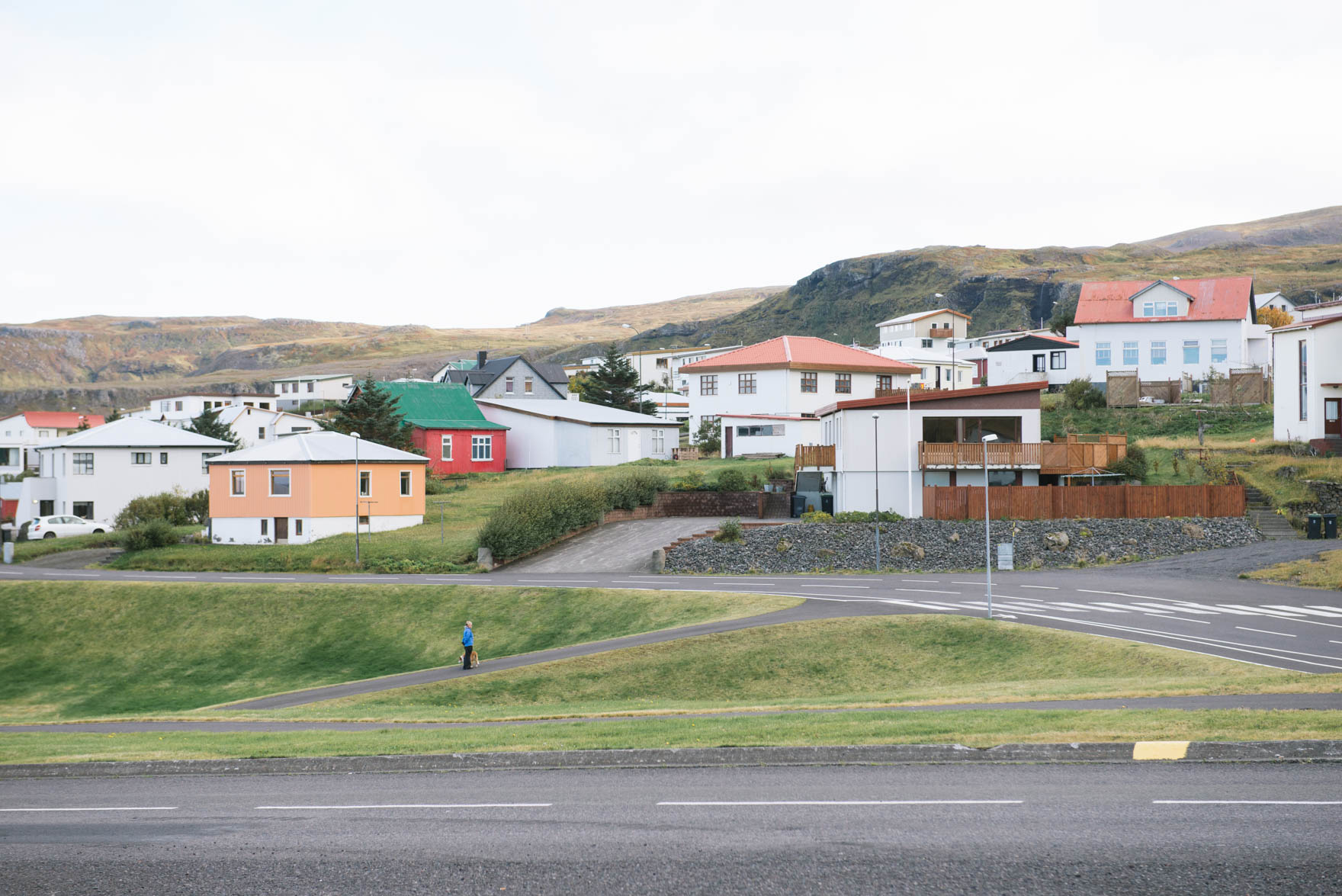 A solidary woman and her dog pause in the middle of an empty road in the foreground of a cluster of pastel colored houses