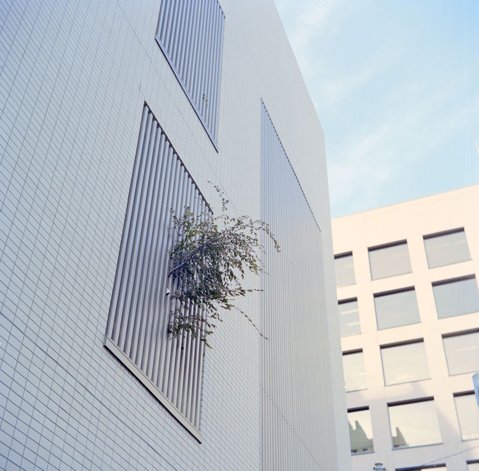 Foliage burst through the slated windows of Tokyo's metropolis